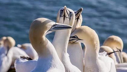 海港反超！茹萨左脚不停球抽射破门，海港2-1反超苏州